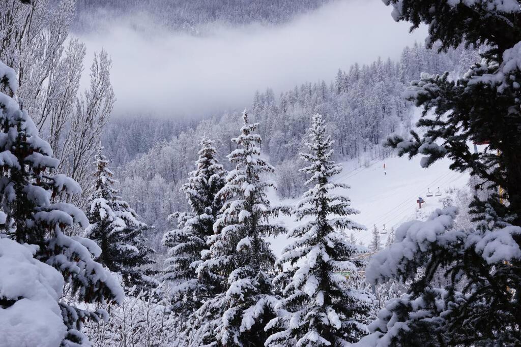 Serre Chevalier,Chantemerle,T2 Proche Pistes Saint-Chaffrey Exterior foto